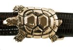 Alexander Kalifano Ancient Bronze 1  Turtle Belt Buckle Hot on Sale