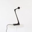 1990 Onidia  Desk Lamp by Santiago Calatrava for Artemide Methacrylate, Polyurethane Foam, Paint, Metal Fashion