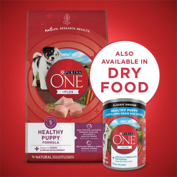 Purina ONE SmartBlend Classic Healthy Puppy Ground Lamb & Long Grain Rice Canned Dog Food on Sale