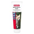 Beaphar Multi-Vitamin Paste Cat Treat 100g Fashion