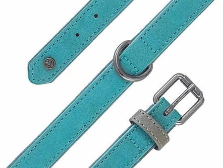 Sotnos Brights Aquatech Dog Collar Teal Online