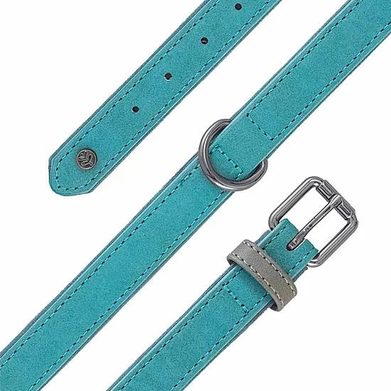 Sotnos Brights Aquatech Dog Collar Teal Online