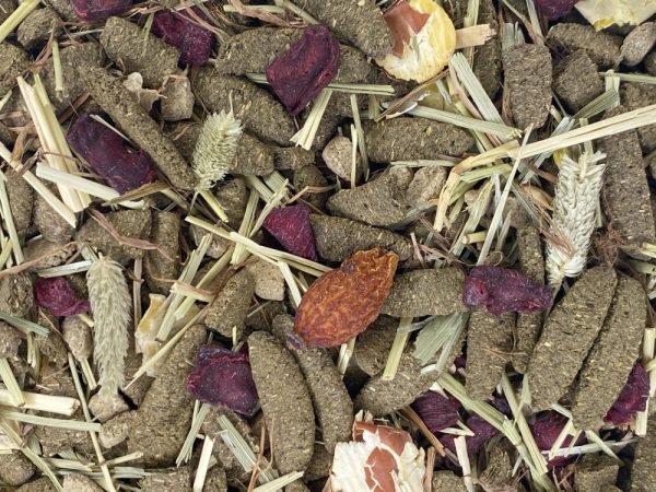 Versele-Laga Nature Forage Blend Guinea Pig Food Online