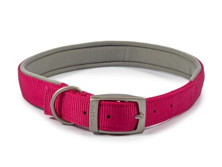 Ancol Viva Dog Collars Buckle Nylon Neoprene Padded Pink 5 Sizes Cheap