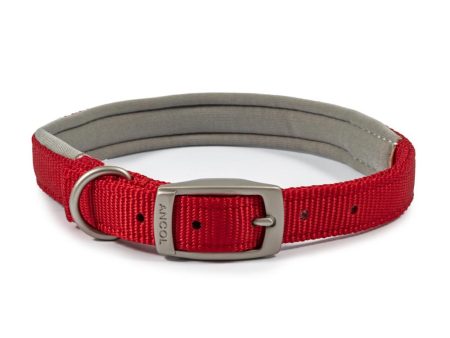 Ancol Viva Dog Collars Buckle Nylon Neoprene Padded Red 5 Sizes For Cheap