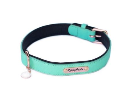 ZippyPaws Vivid Collection Teal Dog Collar Hot on Sale