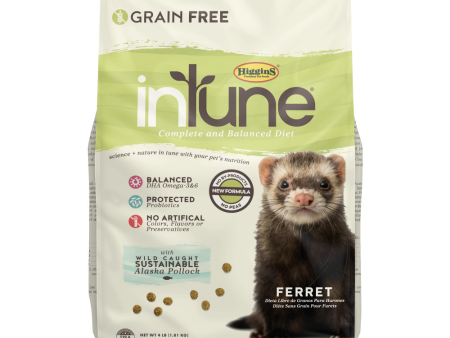 Higgins inTune Ferret Food Online Sale