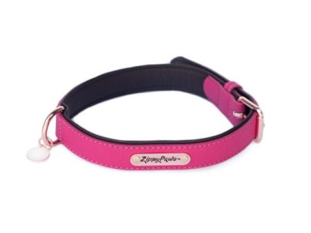 ZippyPaws Vivid Collection Magenta Dog Collar Supply