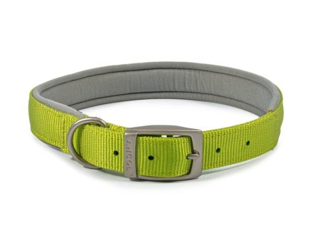 Ancol Viva Dog Collars Buckle Nylon Neoprene Padded Lime 5 Sizes For Discount