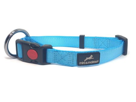 Miro & Makauri Belay Nylon Safety Dog Collars Cyan 4 Sizes Hot on Sale