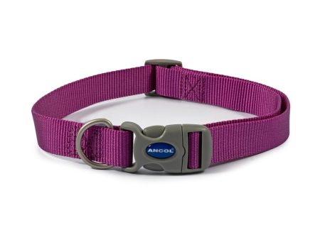 Ancol Dog & Puppy Collars Nylon Purple 3 Sizes Sale