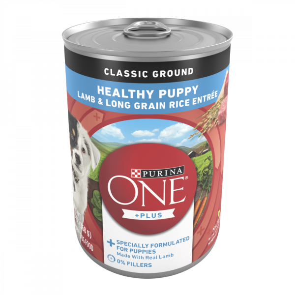 Purina ONE SmartBlend Classic Healthy Puppy Ground Lamb & Long Grain Rice Canned Dog Food on Sale