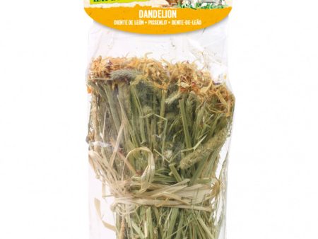 Versele-Laga Nature Hay Bouquet Dandelion Online Sale