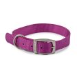 Ancol Viva Dog & Puppy Buckle Collars Nylon Purple 5 Sizes on Sale