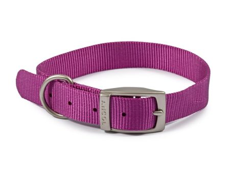 Ancol Viva Dog & Puppy Buckle Collars Nylon Purple 5 Sizes on Sale